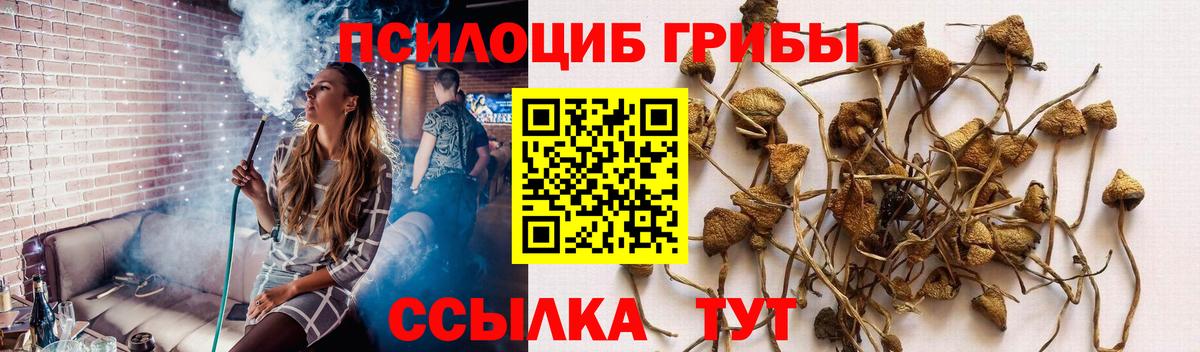 Псилоцибиновые грибы Magic Shrooms Александров