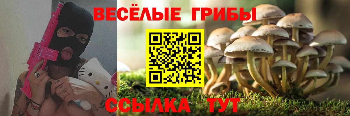 купить   Псилоцибиновые грибы MAGIC MUSHROOMS  Вход с VPN  Александров  Галлюциногенные грибы MAGIC MUSHROOMS 
